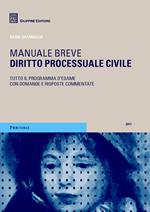 Diritto processuale civile. Manuale breve