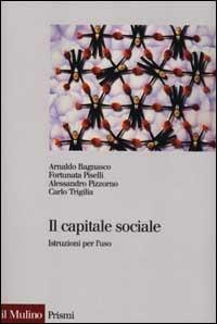 Il capitale sociale. Istruzione per l'uso - copertina