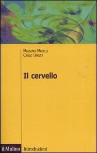 Il cervello. Anatomia e funzione del Sistema nervoso centrale. Ediz. illustrata - Massimo Matelli,Carlo Umiltà - copertina