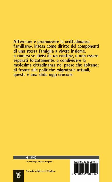 Famiglie nonostante. Come gli affetti sfidano i confini - Maurizio Ambrosini - 2
