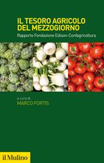 Il tesoro agricolo del Mezzogiorno d'Italia. Rapporto Fondazione Edison-Confagricoltura