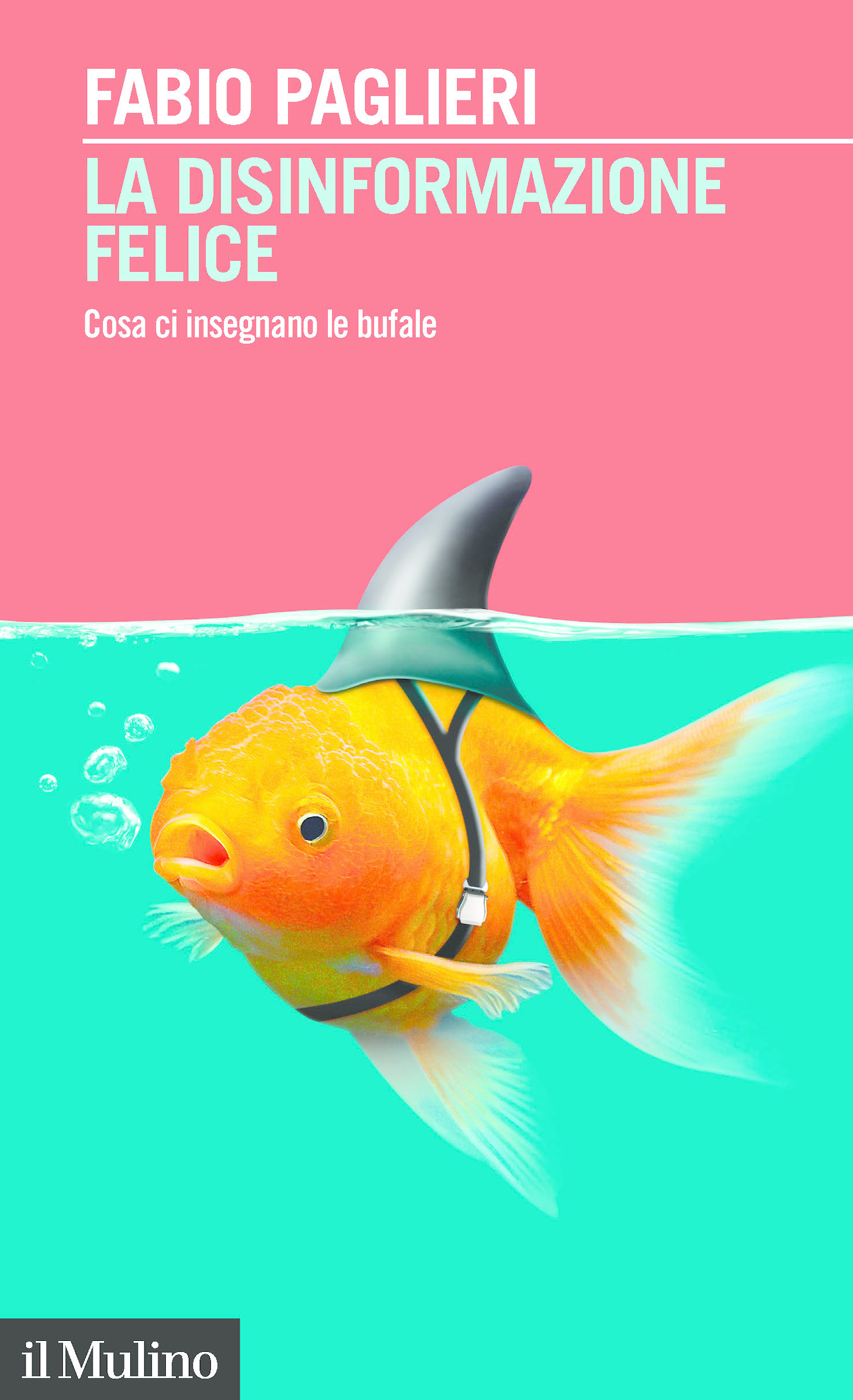 ibs