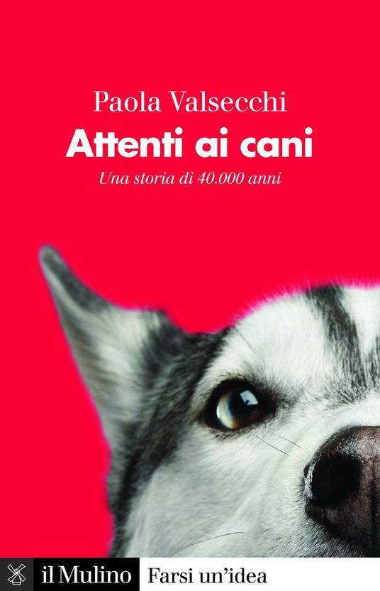 Attenti ai cani. Una storia di 40.000 anni - Paola Valsecchi - ebook