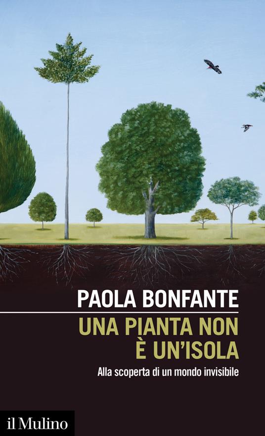 Una pianta non è un'isola. Alla scoperta di un mondo invisibile - Paola Bonfante - ebook