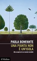 Nome prodotto
