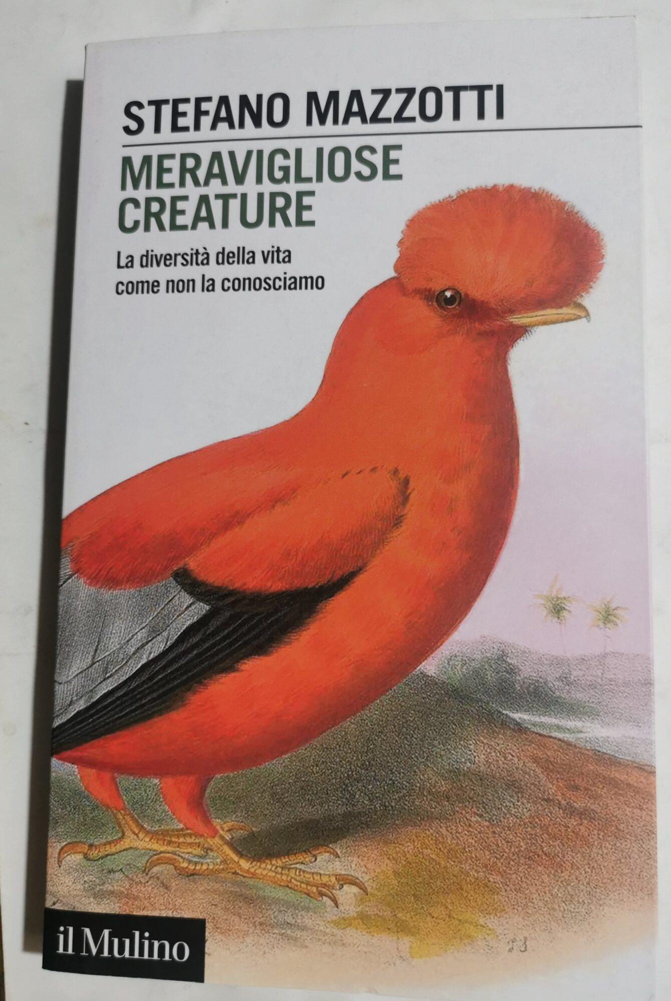 Invito alla Lettura