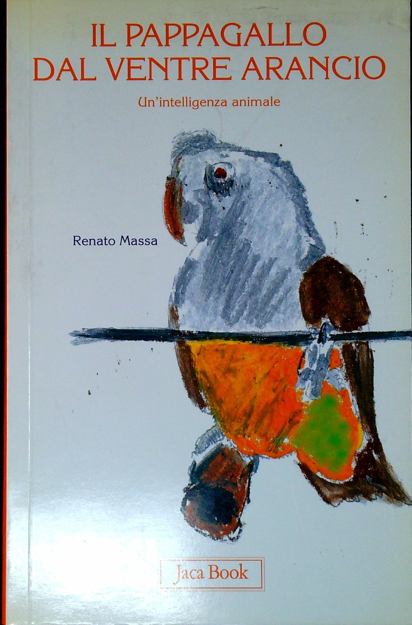 Libreria Serendipity