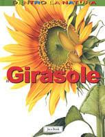 Il girasole
