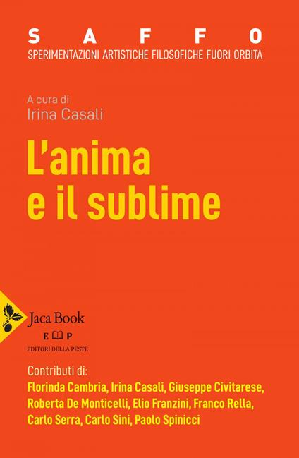 L' anima e il sublime - Irina Casali - ebook