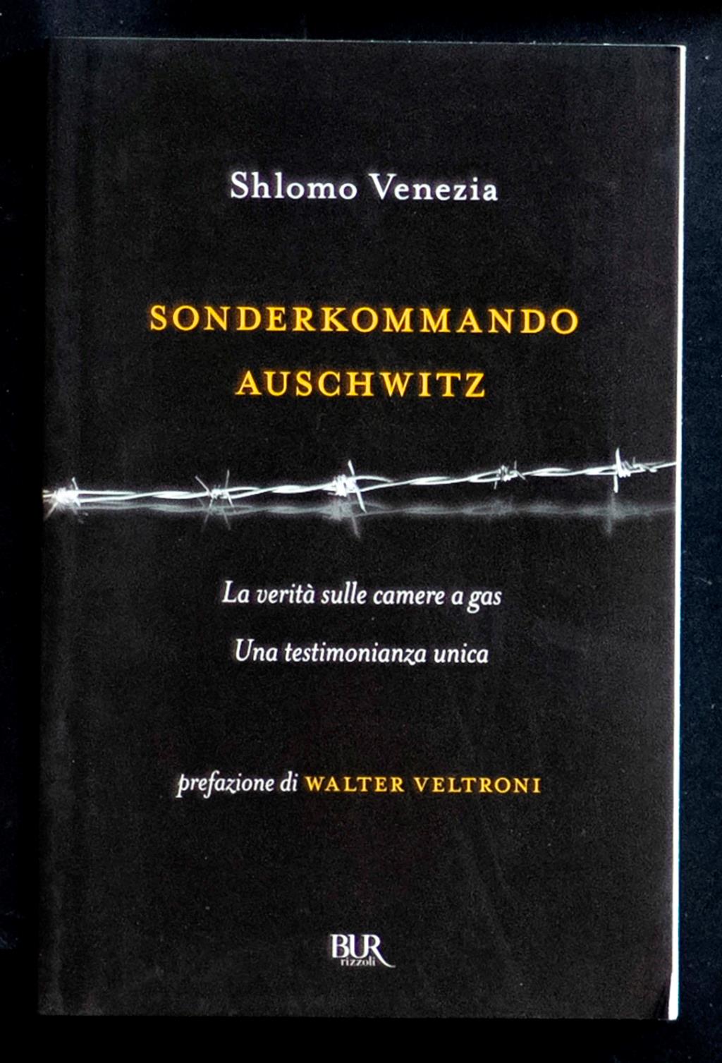 Libreria Trippini Sergio