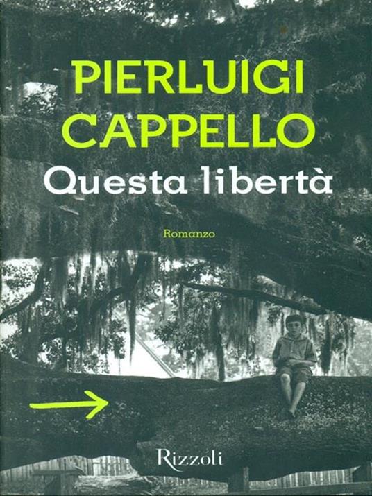 Questa libertà - Pierluigi Cappello - 6