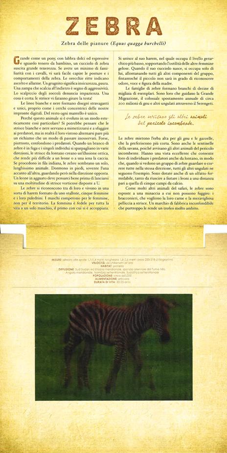 Safari. Un libro illustrato in Photicular®. Ediz. illustrata - Carol Kaufmann,Dan Kainen - 6