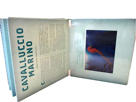 Oceani. Un libro illustrato in Photicular®. Ediz. illustrata - Dan Kainen,Carol Kaufmann - 3