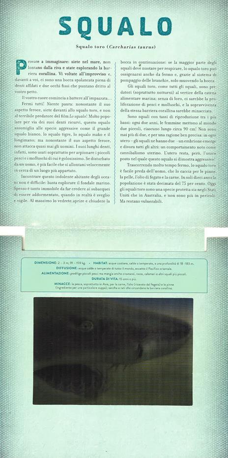 Oceani. Un libro illustrato in Photicular®. Ediz. illustrata - Dan Kainen,Carol Kaufmann - 5