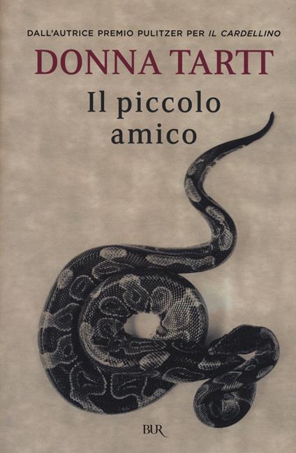 Il piccolo amico - Donna Tartt - copertina