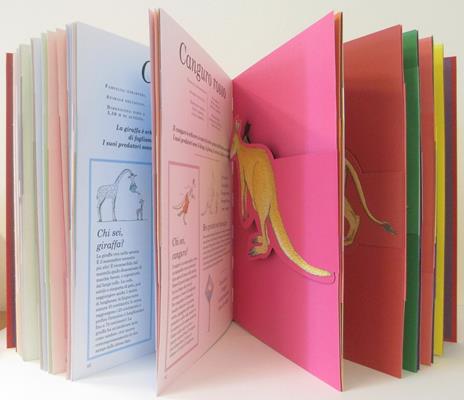 Scheletri. Gli animali come non si sono mai visti - Florence Guiraud,Judith Nouvion - 2