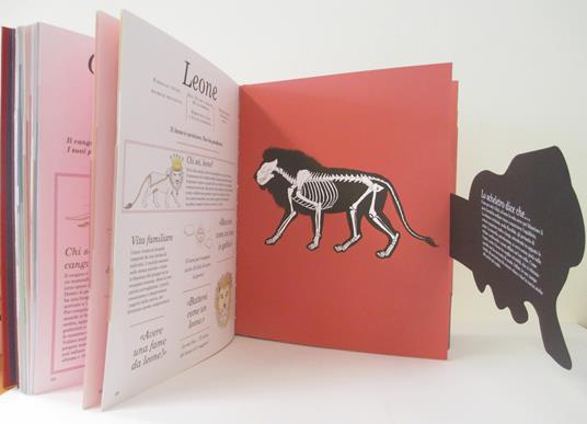 Scheletri. Gli animali come non si sono mai visti - Florence Guiraud,Judith Nouvion - 3