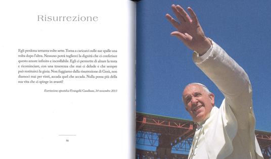 Grazie Francesco. Ediz. a colori - Francesco (Jorge Mario Bergoglio) - 7