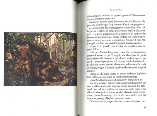 Il libro della giungla. Ediz. speciale - Rudyard Kipling - 2