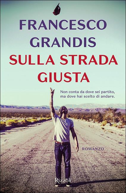 Sulla strada giusta - Francesco Grandis - copertina