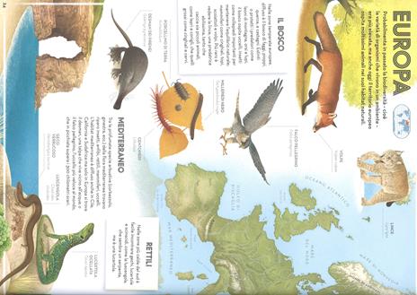 Il grande atlante degli animali. Ediz. a colori - Nick Crumpton,Gaia Bordicchia - 3