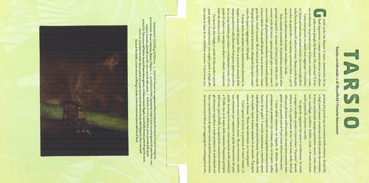Giungla. Un libro illustrato in Photicular®. Ediz. a colori - Kathy Wollard,Dan Kainen - 5