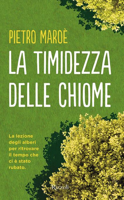 La timidezza delle chiome - Pietro Maroè - copertina