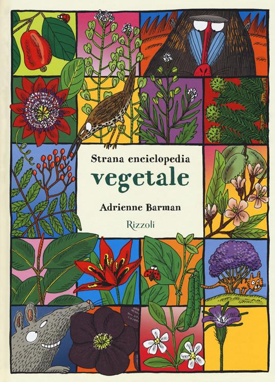 Strana enciclopedia vegetale. Ediz. a colori - Adrienne Barman - copertina
