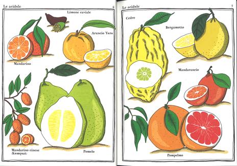 Strana enciclopedia vegetale. Ediz. a colori - Adrienne Barman - 2