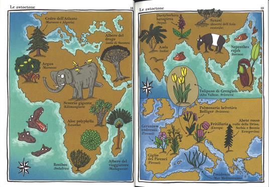 Strana enciclopedia vegetale. Ediz. a colori - Adrienne Barman - 3