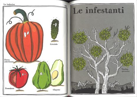Strana enciclopedia vegetale. Ediz. a colori - Adrienne Barman - 5