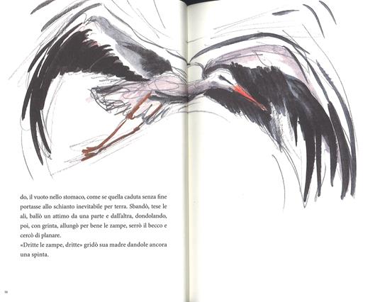 Il volo felice della cicogna Nilou - Guido Conti - 4