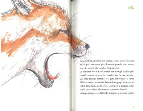 Il volo felice della cicogna Nilou - Guido Conti - 5