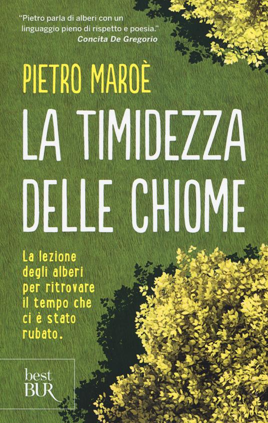 La timidezza delle chiome - Pietro Maroè - copertina