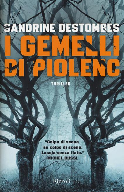 I gemelli di Piolenc - Sandrine Destombes - copertina