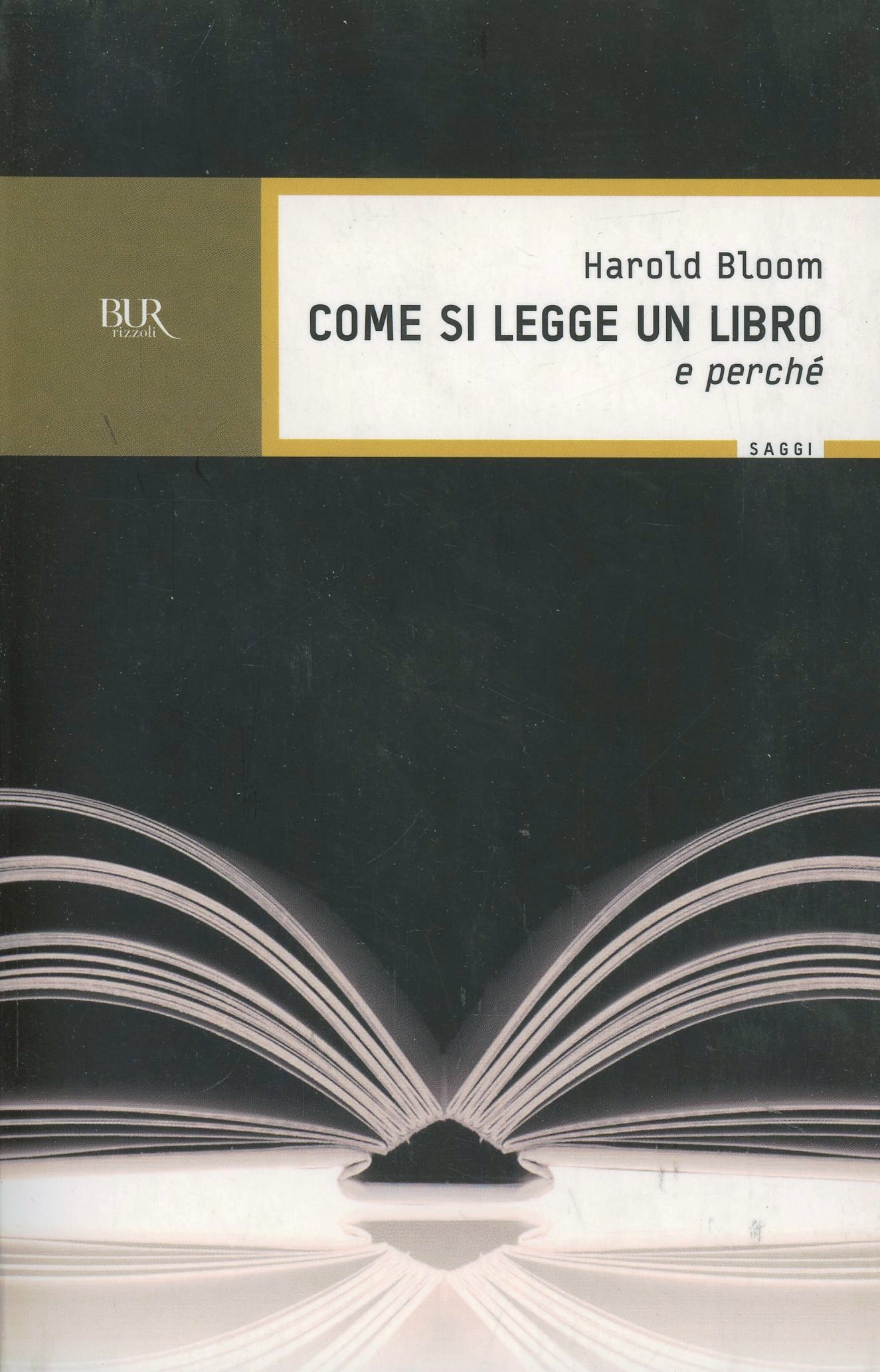 Carù Libreria Dischi