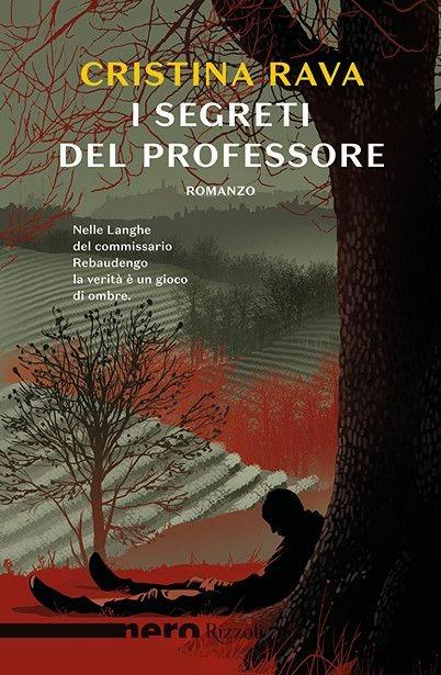 I segreti del professore - Cristina Rava - copertina