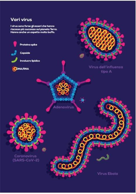 Immune. Viaggio nel misterioso sistema che ci tiene in vita - Philipp Dettmer - 2