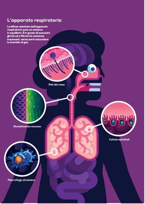 Immune. Viaggio nel misterioso sistema che ci tiene in vita - Philipp Dettmer - 3