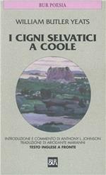 I cigni selvatici di Coole