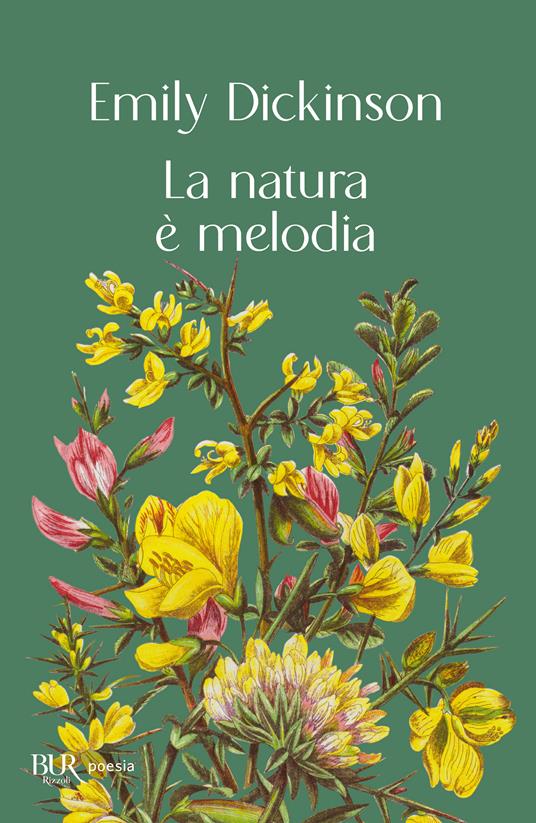 La natura è melodia - Emily Dickinson - copertina