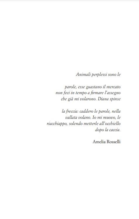 Rim e le parole liberate - Maddalena Vaglio Tanet - 4