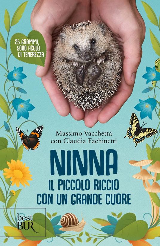 Ninna. Il piccolo riccio con un grande cuore - Massimo Vacchetta,Claudia Fachinetti - copertina