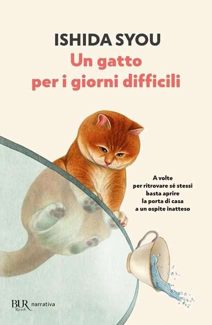 Un gatto per i giorni difficili - Syou Ishida - copertina