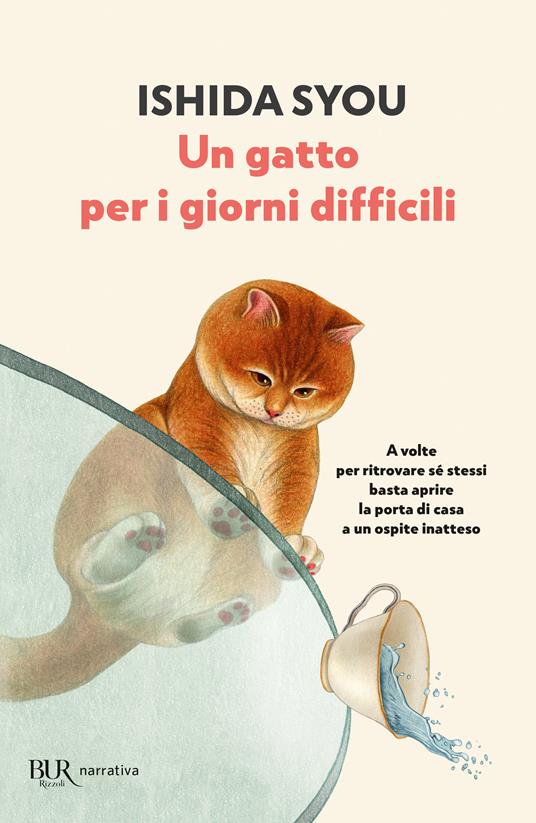 Un gatto per i giorni difficili - Syou Ishida - copertina