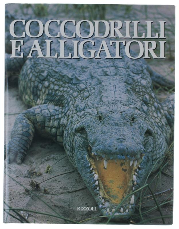 Bergoglio Libri d'Epoca Snc