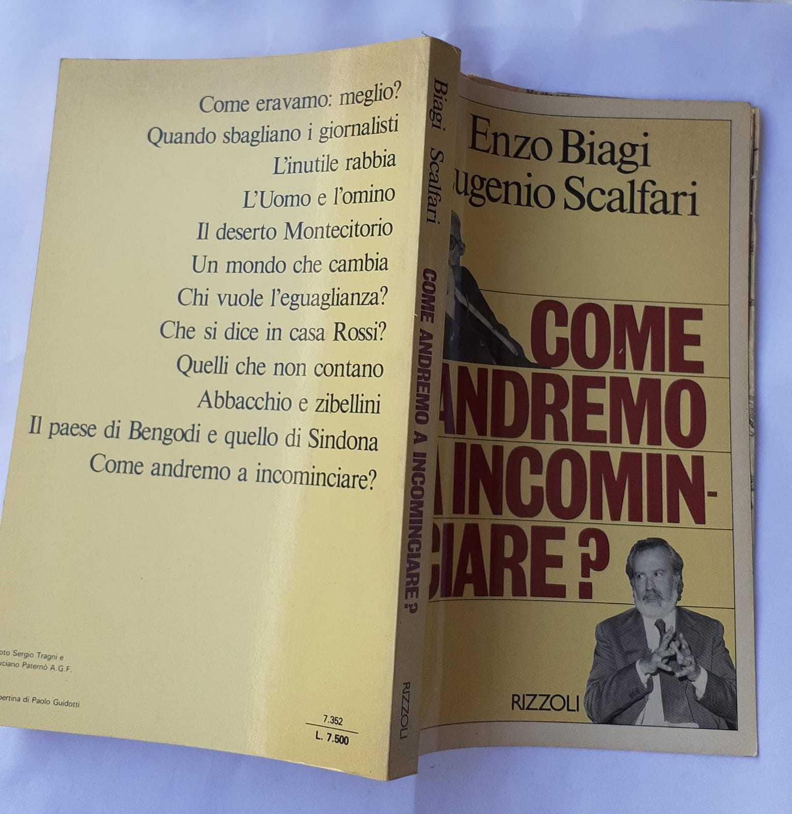 Librisaggi