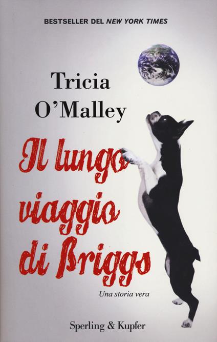 Il lungo viaggio di Briggs - Tricia O'Malley - copertina