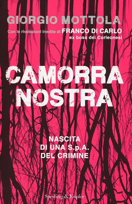 Camorra nostra. Nascita di una S.p.a. del crimine - Giorgio Mottola - copertina