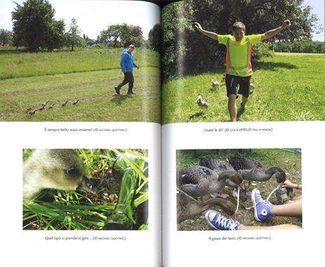 Oggi ho imparato a volare. Come sette piccole oche hanno cambiato la mia vita - Michael Quetting - 4